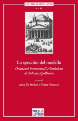 lo-specchio-del-modello